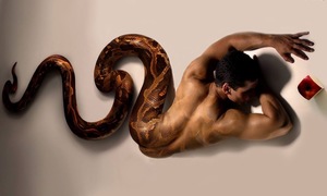 Последний шанс.